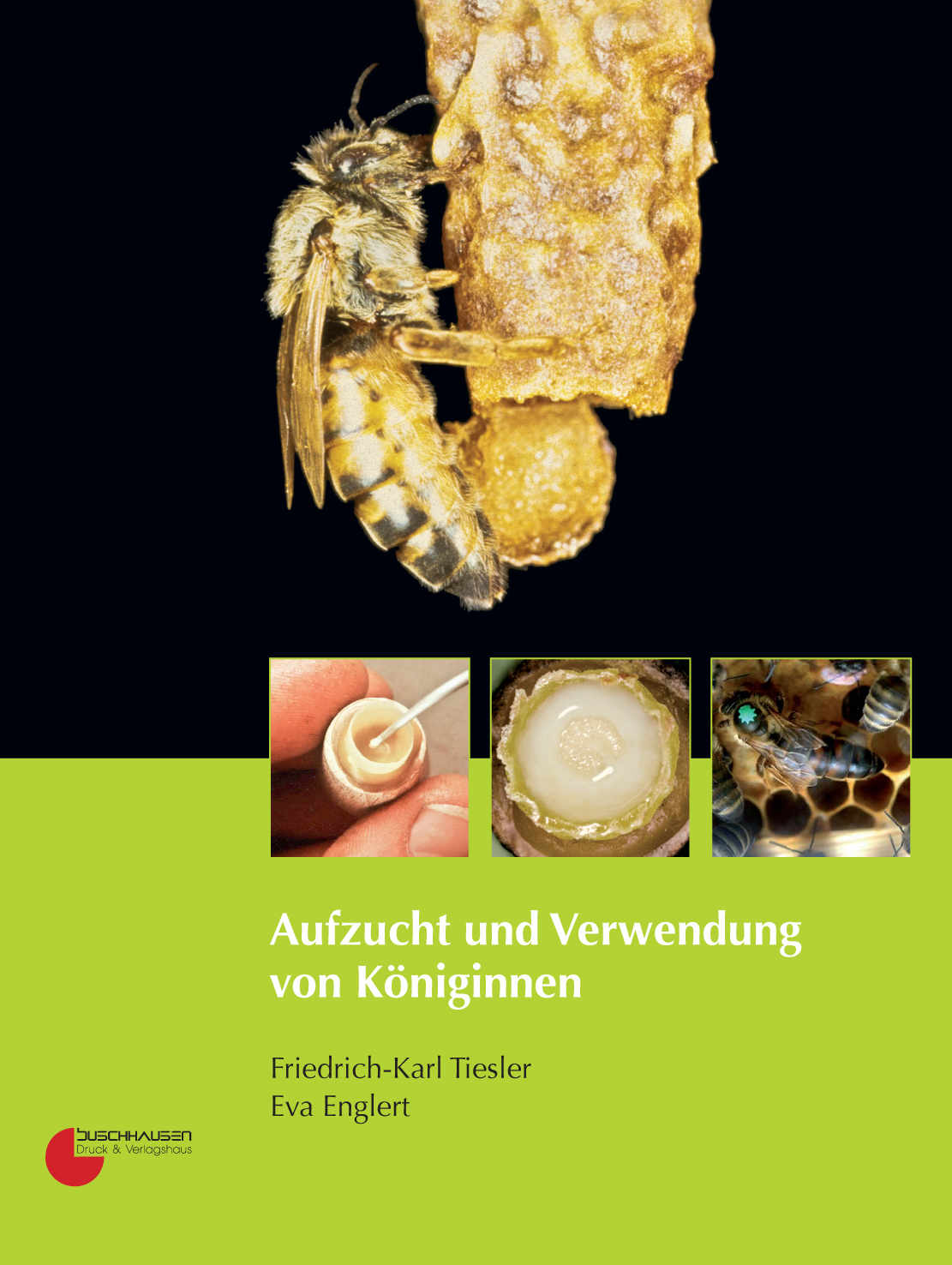 Aufzucht und Verwendung von Königinnen