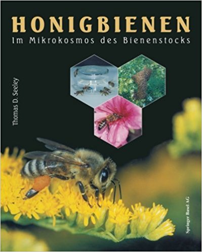 Honigbienen im Mikrokosmos des Bienenstock