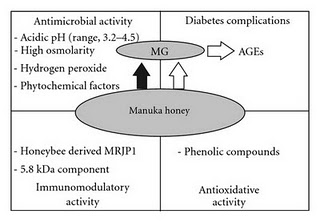 Manuka Honey Component a Potential Risk Factor in Healing of Diabetic Ulcers