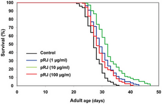 Royal Jelly Has Lifespan-Extending Effect