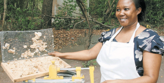 International Demand Drives Boost in Kenyan Propolis Production