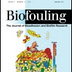 Low Concentrations of Honey Can Reduce Colonization, Virulence of E. coli
