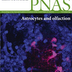 Bee Venon Toxin May Help Target Symptoms of Dementia and Depression