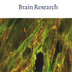 Bee Venom May Help Treat Parkinson's Disease