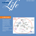 Apitherapy News: Antibacterial Components of Honey