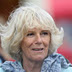 Kate Middleton, Duchess of Cornwall Camilla Use Bee Venom Face Masks
