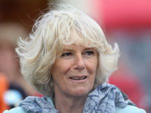 Kate Middleton, Duchess of Cornwall Camilla Use Bee Venom Face Masks