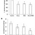Propolis May Boost Leishmanicidal Activity of Glucantime