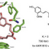 Propolis Component Helps Synthesize Anti-Cancer Agent