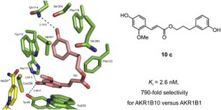 Propolis Component Helps Synthesize Anti-Cancer Agent