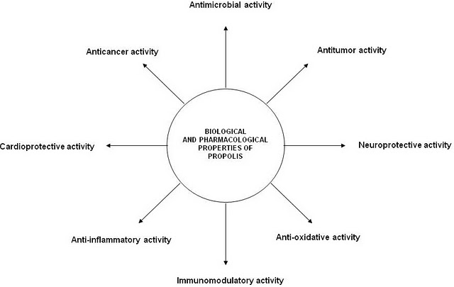 Beneficial Effects of Propolis on Human Health and Neurological Diseases