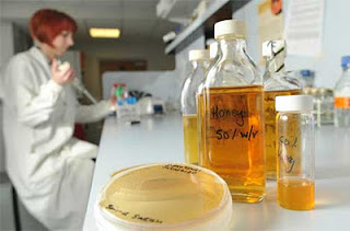 Manuka Honey's Superbug-Fighting Properties Hailed After Welsh Study