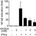 Royal Jelly Lipid Component is Unique Modulator of IFN-γ-Mediated Cellular Responses