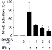 Royal Jelly Lipid Component is Unique Modulator of IFN-γ-Mediated Cellular Responses