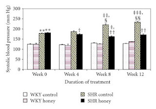 Honey Helps Reduce Elevated Blood Pressure