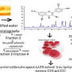 Phenolic Extracts from Cuban Honeys Protect Red Blood Cells