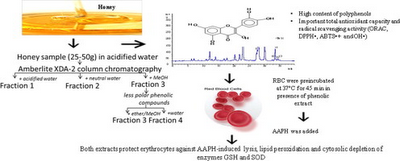 Phenolic Extracts from Cuban Honeys Protect Red Blood Cells