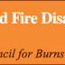 Honey Beats Traditional Treatment for Burn Wounds