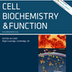Propolis Component Protects Against Damage by Chemotherapy, Radiotherapy Treatments