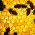 Compounds in Honey Stimulate Immune System