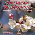 New Mexico Honey Beats Manuka at Fighting MRSA