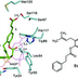 Brazilian Propolis Components May Help Treat Prostate and Breast Cancers