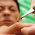 Apitherapy News: Bees for Health