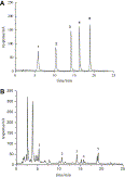 Buckwheat Honey Protects Against DNA Damage