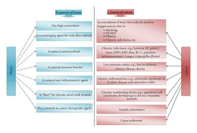 Growing Evidence for Anti-Cancer Properties of Honey