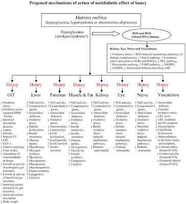 Potential Use of Honey in the Management of Diabetes