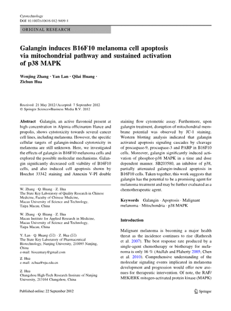 Propolis Flavonoid May Help Treat Melanoma