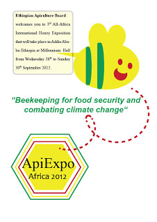 Honey Produced by Apis florea Show Heat Tolerance