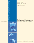 Antibacterial Effect of Manuka Honey Studied