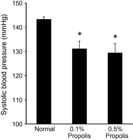 Dietary Propolis Improves Insulin Sensitivity