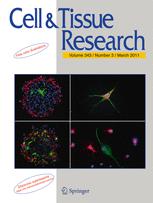 Propolis Component Inhibits Cancer-Causing Enzymes