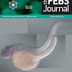 Propolis Component Could Help Treat Cervical Cancer