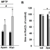 Bee Venom Protects Against Degenerative Process of Parkinson Disease