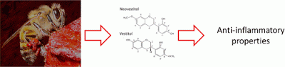 Brazilian Red Propolis Isoflavonoids Have Strong Anti-Inflammatory and Antimicrobial Properties