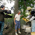 Me, the Bees and Cancer