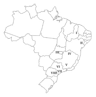 First Report of Prenylated Flavonoids in Brazilian Propolis and Schaftoside in Green Propolis