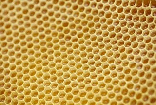 Secrets of Bee Honeycombs Revealed