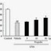 Brazilian Green Propolis May Help Treat Age-Related Macular Degeneration (AMD) and UV Skin Damage