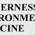 Wound Care in the Wilderness: Is There Evidence for Honey?